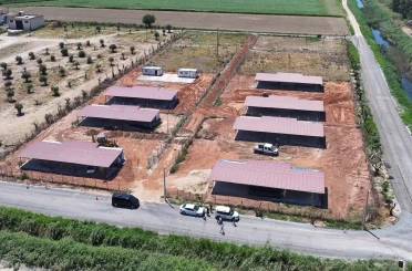 Efeler Belediyesi’nden sokak hayvanları için yeni yaşam alanı 