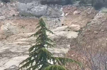 Eğirdir’de tırmandıkları kayalıklarda mahsur kalan çocuklar kurtarıldı 