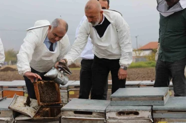 Elazığ arı kovanları incelendi 