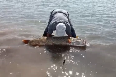 Elazığ’da amatör balıkçılar 65 kilo ağırlığında turna balığı yakaladı 