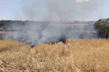 Elazığ’da arazi yangını ekiplerin müdahalesi sürüyor 