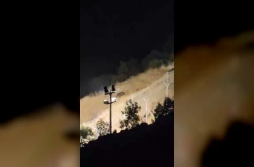 Elazığ’da ayılar kış uykusu öncesi yiyecek ararken görüntülendi 