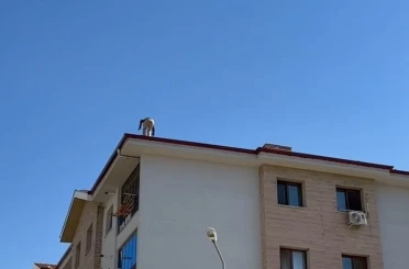 Elazığ’da çatıda tehlikeli çalışma 