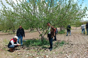 Elazığ’da dolu sonrası hasar tespiti yapıldı 
