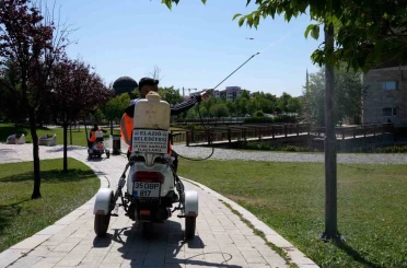 Elazığ’da ilaçlama çalışmaları sürüyor 