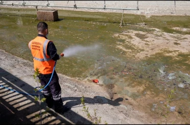 Elazığ’da İlaçlama çalışmaları sürüyor 