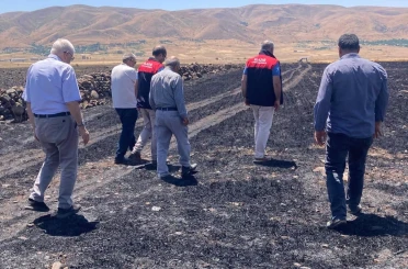 Elazığ’da küle dönen 70 dönümlük ekili alanda hasar tespit çalışmaları 