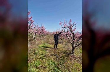Elazığ’da meyve bahçelerinde entegre mücadele çalışması 