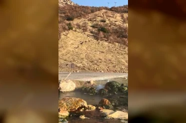 Elazığ’da nesli tükenme tehdidi altında olan dağ keçileri görüldü 