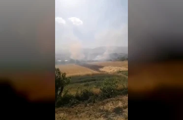 Elazığ’da otluk alanda yangın 