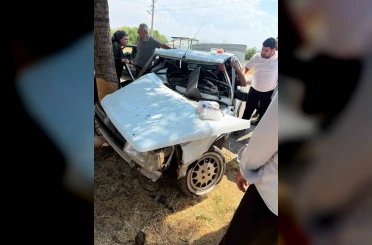 Elazığ’da otomobil ağaca çarptı: 1 yaralı 