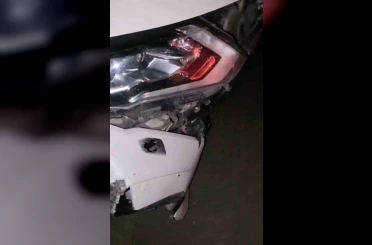 Elazığ’da otomobil domuz sürüsüne çarptı 