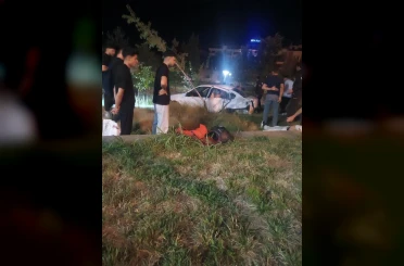 Elazığ’da otomobil Millet Bahçesi’ne girdi: 5 yaralı 