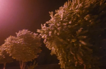 Elazığ’da sıcak hava yerini kuvvetli rüzgara bıraktı 
