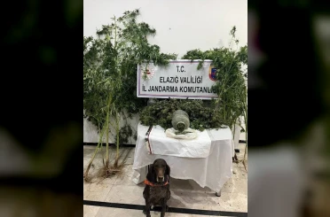 Elazığ’da uyuşturucuyla mücadele: 1 tutuklama 