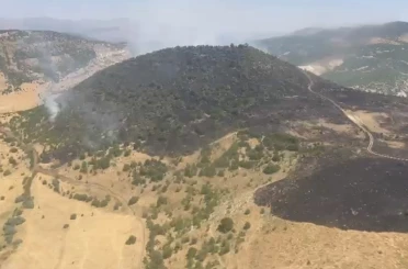Elazığ’daki orman yangını söndürüldü 