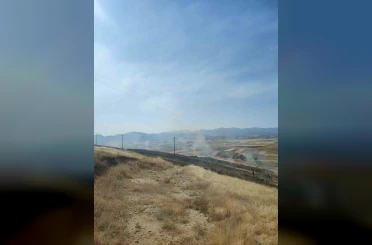 Elazığ’daki yangında 40 dönümlük arpa küle döndü 