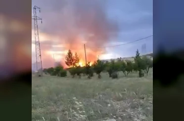 Elektrik direğinden çıktığı iddia edilen yangın buğday tarlasını küle çevirdi 