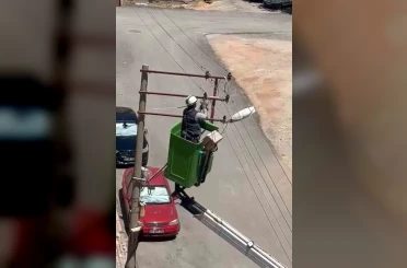 Elektrik tellerine takılan kuş kurtarıldı 