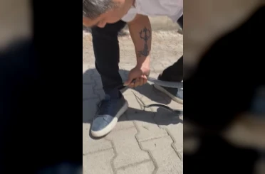 Eliyle yakaladığı yılan bacağını ısırdı: O anlar kamerada 