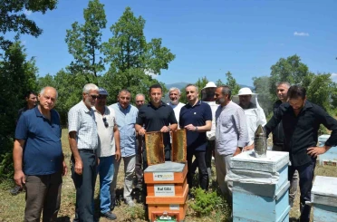 Emet Kaymakamı Başkapan, arıcılarla bir araya geldi 