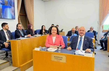 Emniyet, basın ve vergi ile ilgili düzenlemeleri içeren kanun teklifi Komisyon’da 