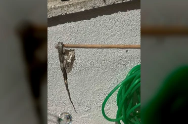 Enez’de sitede yılan paniği 