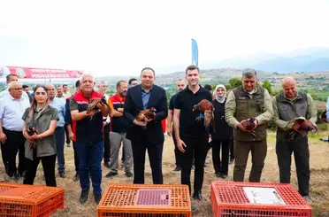 Erbaa Belediyesi’nden keneyle mücadeleye halkalı sülün ve kekliklerle destek

