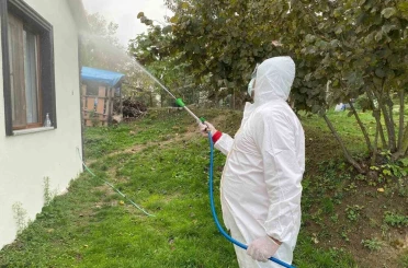 Erenler’de kokarcaya yönelik etkili mücadele sürüyor 