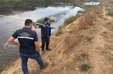 Ergene’de arıtılmadan çaya atık su deşarjı tespit edildi 