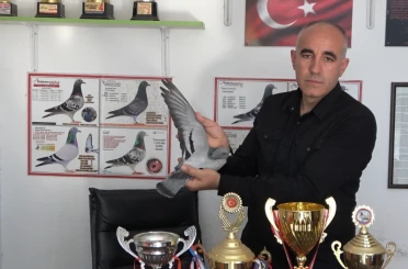 Ermenistan sınırından bırakılan güvercin bin kilometre yolu bir günde katederek evine döndü 
