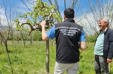 Erzincan’da çiftçilere sahada teknik destek
