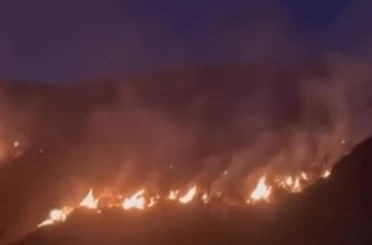 Erzincan’da örtü yangını ormana sirayet etmeden kontrol altına alındı 