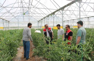 Erzincan’da seracılık faaliyetleri yerinde incelendi 