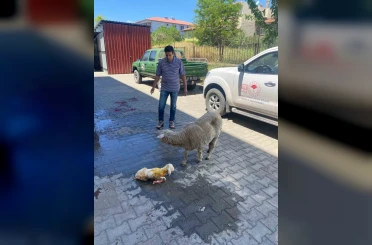 Erzincan’da zamanla yarış mutlu sonla bitti 