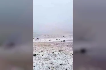 Erzurum’a mevsimin ilk karı yağdı 