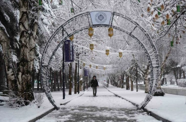 Erzurum’da kar kenti yeniden beyaza bürüdü 