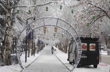 Erzurum’da soğuk havanın etkisiyle ağaçlar kırağı tuttu 