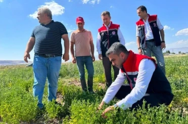 Erzurum’da tarımsal destekler meyvesini veriyor 