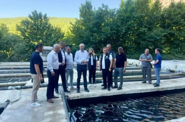 Eşen Havzası’ndaki Alabalık tesislerinde sektör değerlendirmesi 