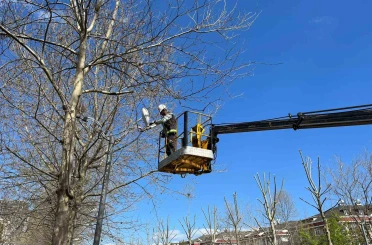 Esenyurt Belediyesi’nden yeşil alanlara bahar dokunuşu 