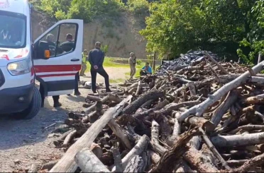 Eşini odunla döverek öldürdü 