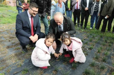 Eskişehir safran üretiminde birincilik yolunda 