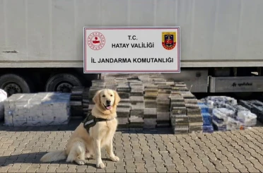 Eşya taşınan tır dorsesinden 3 bin karton kaçak sigara çıktı 