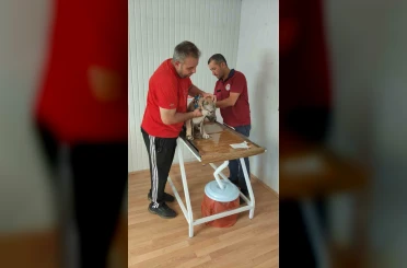 Evcil hayvan sahiplerine mikroçip uyarısı 