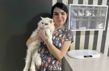Evcil hayvanlarınızı evde tek bırakırken dikkat
