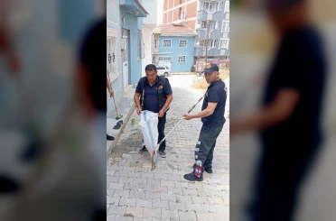 Eve giren yılan paniğe neden oldu 