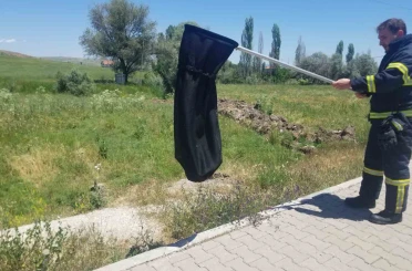 Eve giren yılanı itfaiye yakaladı 