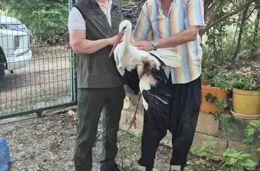 Evinin önüne gelen yaralı leyleğe sahip çıktı
