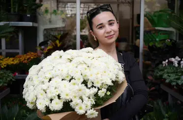 Eylül ayında en çok tercih edilen çiçekler kasımpatı ve sıklamen oluyor
